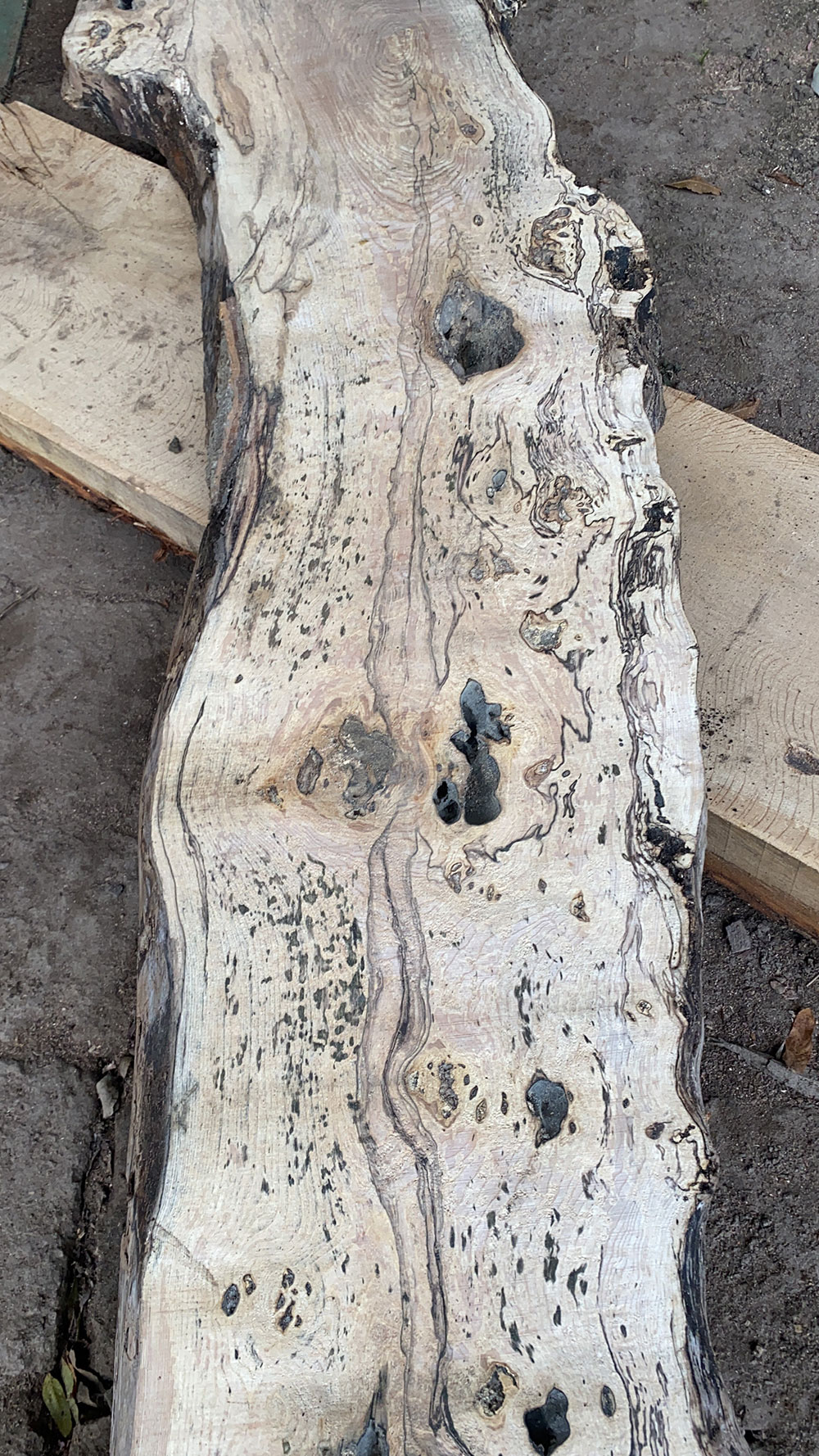 Bosworth Sawmills